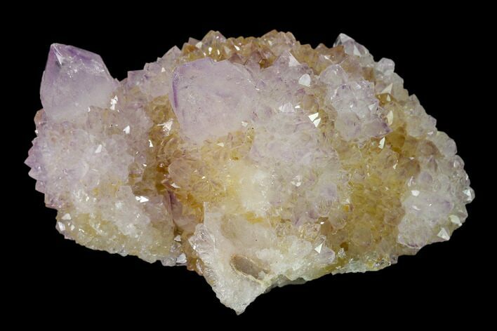 Cactus Quartz (Amethyst) Crystal Cluster - South Africa #137764
